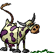 Cow05.gif (9431 octets)